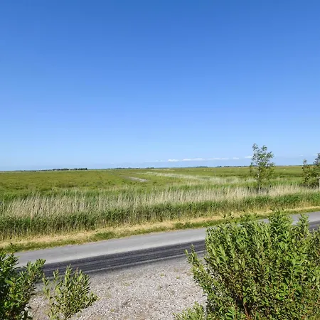 Ferienwohnung Vogelkoje *