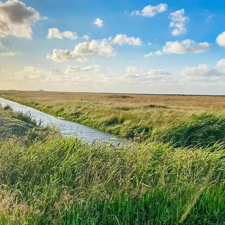 Ferienwohnung Vogelkoje Klanxbull